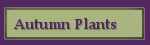 Fall Plant Material
