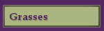 Grasses