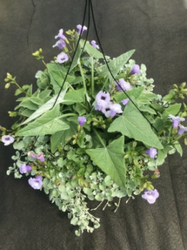 COMBO E 14" Moss Basket COMBO E 14" Moss Basket