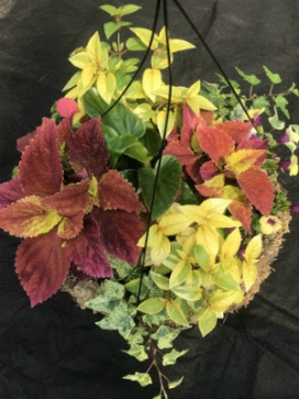 COMBO F 14" Moss Basket COMBO F 14" Moss Basket