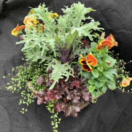 15" Fall Combination Planter