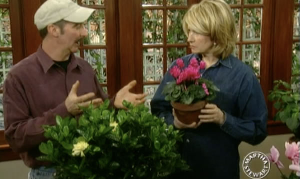 Fragrant Houseplants - Martha Stewart with Dennis Schrader