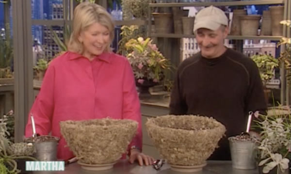 Rhipsalis Planter - Martha Stewart with Dennis Schrader